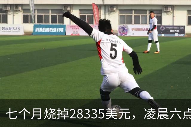 七个月烧掉28335美元，凌晨六点前的工具调用只有0.7%