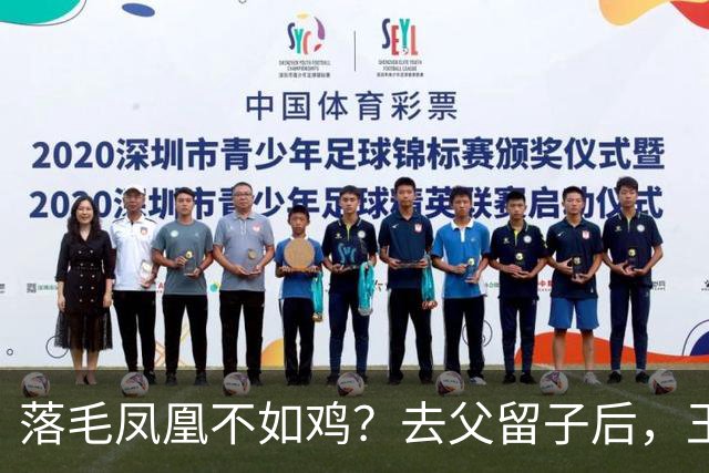落毛凤凰不如鸡？去父留子后，王鸥回应无戏可拍，坦言走上另一条路